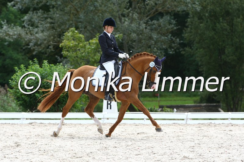 109M9989_Don Juan_Dressur L_Finale Franken.JPG